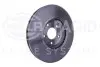 Диск тормозной перед. Nissan Qashqai// Renault Koleos 1.6Dci-2.5 02.07- HELLA (8DD 355 116-761) изображение 3