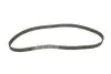 Комплект ГРМ (ремінь + ролик) CITROEN BERLINGO, C4 I, C5 I, EVASION, JUMPY I, XSARA, XSARA PICASSO FIAT SCUDO, ULYSSE LANCIA ZETA PEUGEOT 206, 306, 307, 406, 607, 806, 807 2.0D 06.98-03.12 HEPU (201617) зображення 2