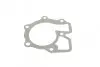 Фото Насос охолоджуючої рідини, з ущільненням FORD TRANSIT, TRANSIT TOURNEO LDV CONVOY 2.4D/2.5D 10.83-04.09 HEPU (P202) зображення 9
