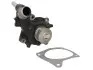 Насос охолоджуючої рідини, з ущільненням FORD MONDEO I, MONDEO II 1.8D 06.93-09.00 HEPU P230
