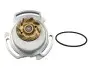 Насос охолоджуючої рідини, з ущільненням SEAT TERRA VW POLO, POLO CLASSIC, POLO II 1.3D/1.4D 08.86-12.95 HEPU (P521) зображення 1