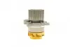 Фото Насос охолоджуючої рідини, з ущільненням VW POLO IV 1.9D 09.02-04.12 HEPU (P646) зображення 3