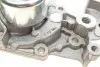 Насос охолоджуючої рідини, з ущільненням NISSAN KUBISTAR RENAULT CLIO I, CLIO II, CLIO IV, KANGOO, KANGOO EXPRESS, TWINGO I 1.0-1.6 01.96 HEPU (P916S) зображення 5