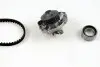 Комплект ГРМ (ремінь + ролик + водяний насос) FIAT PALIO, PUNTO, SIENA, STRADA LANCIA Y 1.2/1.3 09.93 HEPU PK00941
