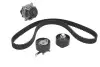 Комплект ГРМ (ремінь + ролик + водяний насос) FORD COUGAR, FOCUS I, MONDEO II, TOURNEO CONNECT, TRANSIT CONNECT 1.6-2.0 08.96-12.13 HEPU (PK02361) зображення 1