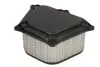 Фільтр повітря - фільтруючий елемент SUZUKI GSX 1300 1999-2007 HIFLO (HFA3907) зображення 2