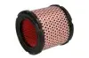 Фільтр повітря - фільтруючий елемент YAMAHA XT 660 2008-2016 HIFLO (HFA4616) зображення 1