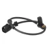 Датчик ABS HOFFER (8290117) изображение 1