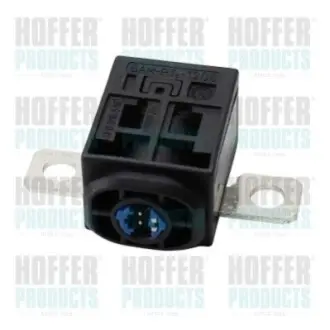 Фото Реле (не більш 60Вт і більш 2А) HOFFER (H73256618) зображення 1