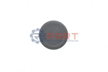 Заглушка розподільчого валу ACCORD VIII, CIVIC IX, CIVIC VIII, CIVIC X, CROSSROAD, CR-V III, CR-V IV, CR-V V, FR-V, HR-V, JAZZ III 1.2-2.0 09.05 HONDA 12513P72003 Купити в Україні