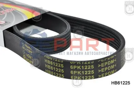 Ремінь генератора поліклиновий (6PKx1225) HORT HB61225 Купить в Украине