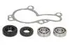 Ремонтний комплект насоса охолоджуючої рідини KAWASAKI KFX 450 2008-2014 HOT RODS (WPK0037) зображення 2