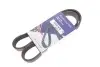 Фото Ремінь генератора MB OM601/602 (6PK1000) HUTCHINSON (1000K6) зображення 2