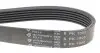 Фото Ремінь генератора MB OM601/602 HUTCHINSON (1005K6) зображення 4