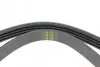 Фото Ремінь генератора Mazda 323 F 1.6i 87-94 HUTCHINSON (1015 K 4) зображення 3