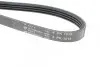 Фото Ремінь генератора Mazda 323 F 1.6i 87-94 HUTCHINSON (1015 K 4) зображення 4