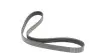 Фото Ремінь генератора Ford Fiesta/Fiesta 1.4LPG/1.6Ti 08 HUTCHINSON (1019SK6) зображення 5