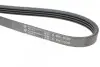 Фото Ремінь генератора Suzuki Grand Vitara 2.5 V6/2.7 4x4 98-03 HUTCHINSON (1020K4) зображення 4