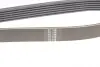 Фото Ремінь генератора Citroen Berlingo/Peugeot Partner 1.6HDi 09- (6PK1020)(замінено 1020 К 6) HUTCHINSON (1020KA6) зображення 3