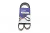 Фото Ремінь генератора Ford Fiesta VI 1.25 08- (6PK1024) HUTCHINSON (1024SK6) зображення 1