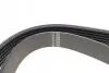 Фото Ремінь генератора Ford Fiesta VI 1.25 08- (6PK1024) HUTCHINSON (1024SK6) зображення 3