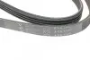 Фото Ремінь генератора Suzuki Grand Vitara 2.5 V6/2.7 4x4 98-03 HUTCHINSON (1025 K 4) зображення 4