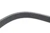 Фото Ремінь генератора Ford Focus/Kuga 1.5EcoBoost 14- (6PK1027) HUTCHINSON (1027 SK 6) зображення 3
