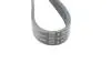 Фото Ремінь генератора Lexus RX 03-08/Fiat Brava/Bravo 1.6/1.9D 96-14 (6PK1040) HUTCHINSON (1040K6) зображення 2