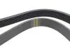 Фото Ремінь генератора Lexus RX 03-08/Fiat Brava/Bravo 1.6/1.9D 96-14 (6PK1040) HUTCHINSON (1040K6) зображення 3