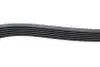Фото Ремінь генератора Lexus RX 03-08/Fiat Brava/Bravo 1.6/1.9D 96-14 (6PK1040) HUTCHINSON (1040K6) зображення 4