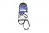 Фото Ремінь генератора Ford Focus 1.4i 98-01 HUTCHINSON (1042SK6) зображення 1