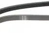 Фото Ремінь генератора Fiat Tipo/Tempra 2.0 90-05 HUTCHINSON (1045K4) зображення 3