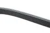 Фото Ремінь генератора VW Crafter 2.0TDI (6PK1075) HUTCHINSON (1075 K 6) зображення 2