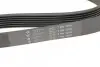Поликлиновый ремень HUTCHINSON (1076K7) изображение 4