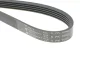 Фото Ремінь генератора Fiat Ducato 2.5 D 94-02 (5PK1085) HUTCHINSON (1085K5) зображення 4