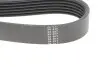 Ремень (поликлиновый) HUTCHINSON (1090K6) изображение 4