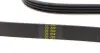 Фото Ремінь генератора Fiat/Lancia/Nissan/Subaru (4PK1100) HUTCHINSON (1100K4) зображення 2
