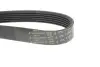 Фото Ремінь генератора Fiat Ducato 2.0 94- /VW Caddy 1.4 04- (6PK1100) HUTCHINSON (1100K6) зображення 2