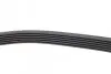 Фото Ремінь генератора Nissan Primera/Fiat Marea 1.8-2.4JTD 96-02 HUTCHINSON (1105K6) зображення 2