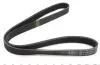Фото Ремень генератора Fiat Scudo/Citroen Berlingo 1.9D/TD 96- (6PK1110) - Ремень генератора Fiat Scudo/Citroen Berlingo 1.9D/TD 96- (6PK1110) HUTCHINSON (1110K6) изображение 2