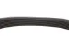 Фото Поликлиновый ремень HUTCHINSON (1110K7) изображение 4