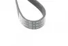 Фото Ремень (поликлиновый) HUTCHINSON (1115K6) изображение 4