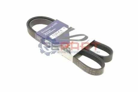 Ремінь генератора Renault Trafic 1.9dCi 01- (5PK1120) HUTCHINSON 1120K5 Купити в Україні