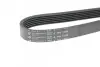 Фото Ремінь генератора Fiat Ducato 1.9D 98-02 HUTCHINSON (1155K6) зображення 4