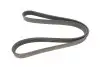 Ремень генератора Citroen Berlingo/Fiat Ducato 1.8/1.9D /Citroen Jumper 3.0HDI 96- (6PK1160) - Ремень генератора Citroen Berlingo/Fiat Ducato 1.8/1.9D /Citroen Jumper 3.0HDI 96- (6PK1160) HUTCHINSON (1160K6) изображение 1
