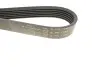 Ремень генератора Citroen Berlingo/Fiat Ducato 1.8/1.9D /Citroen Jumper 3.0HDI 96- (6PK1160) - Ремень генератора Citroen Berlingo/Fiat Ducato 1.8/1.9D /Citroen Jumper 3.0HDI 96- (6PK1160) HUTCHINSON (1160K6) изображение 4