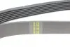 Фото Ремінь генератора Nissan Micra/Note 1.2 10 HUTCHINSON (1165K7) зображення 3