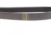 Фото Ремень генератора Peugeot 306/405 1.9D 94-01 HUTCHINSON (1170K6) изображение 4