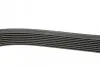 Фото Ремінь генератора Mazda 6 2.0D 02-07 HUTCHINSON (1173K8) зображення 2