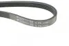Фото Ремінь генератора Renault Rapid 1.4i 91-98 (4PK1188) HUTCHINSON (1188K4) зображення 4
